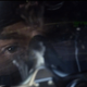 Image for article titled What do screencaps reveal about the future horrors of Ender's Game?